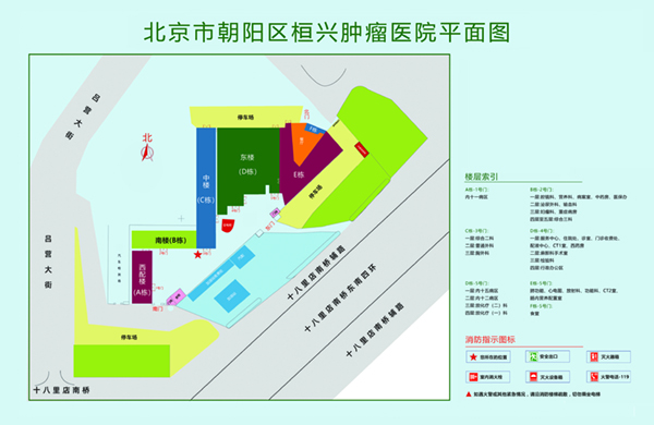 大鸡巴狠狠的操视频北京市朝阳区桓兴肿瘤医院平面图